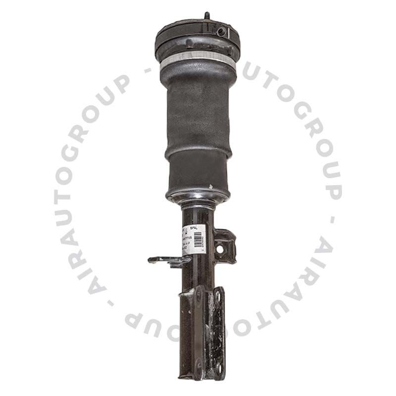 BMW X5 (E53) Front Air Suspension Strut (Right) (1998-2006) 5 BMW X5 (E53) Front Air Suspension Strut (Right) (1998-2006) 5