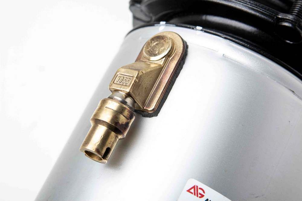 Audi A8 (D3, 4E) Front Air Suspension Strut (Right) (2002-2010) 19 Audi A8 (D3, 4E) Front Air Suspension Strut (Right) (2002-2010) 19